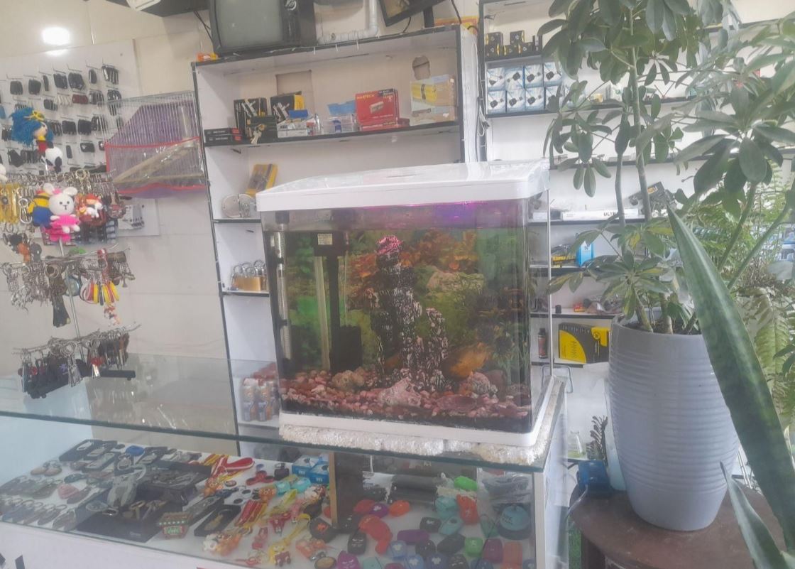 کلیدسازی میلاد شبانه روزی در شیراز - تخصصی