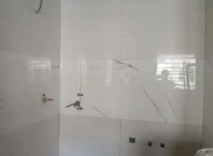 کاشی کاری چسبی دوغابی موز اییک لکه کاری در خیابان اصلاح نژاد شیراز -
